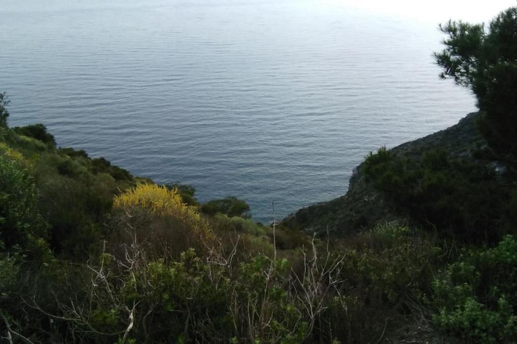 Appartement On The Coast To Relax And Work